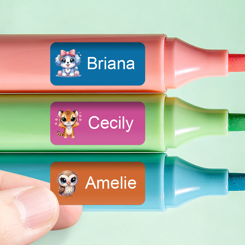Adesivos Personalizados com No - Personalized Name Box avaliação e preço